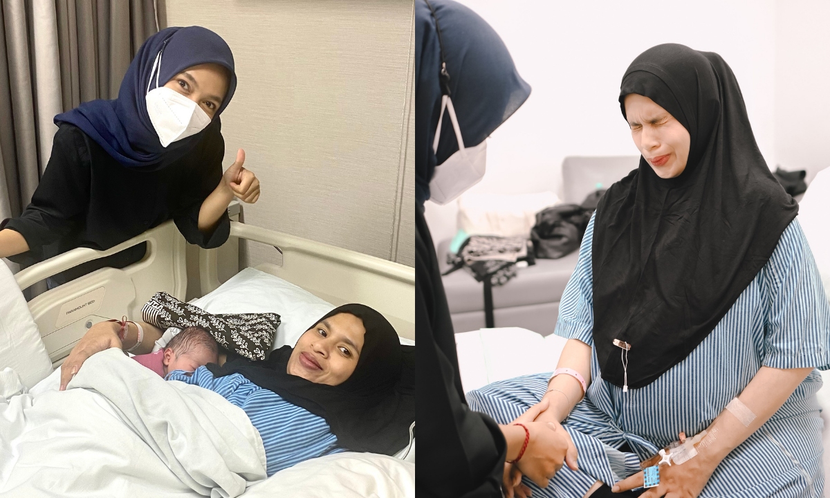 Paket doula azalea
